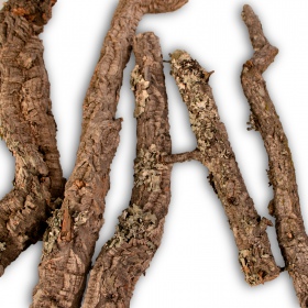 30cm Cork Oak Branch for Reptiles